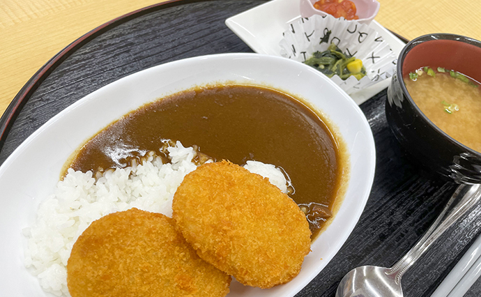 241224KasugaDS_Curry_3238.jpg