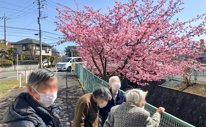 250207hlc_ozenjiYado_Hanami_8900.jpg