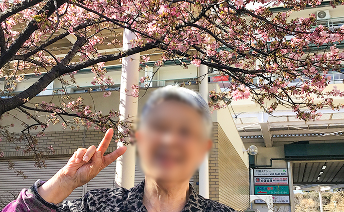 250314hlc_ShirahigeDS_Sakura_0442.jpg