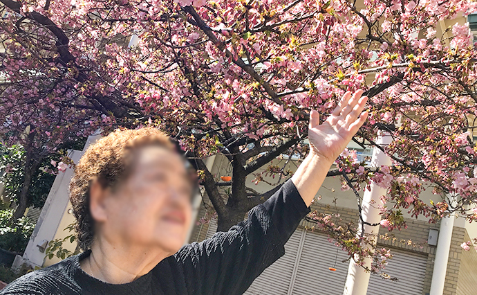 250314hlc_ShirahigeDS_Sakura_0443.jpg
