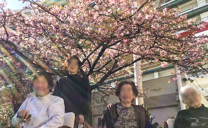 250314hlc_ShirahigeDS_Sakura_0450.jpg