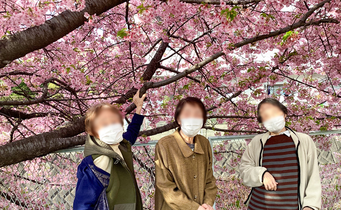 250404hlc_TamaYado_Sakura_2.jpg