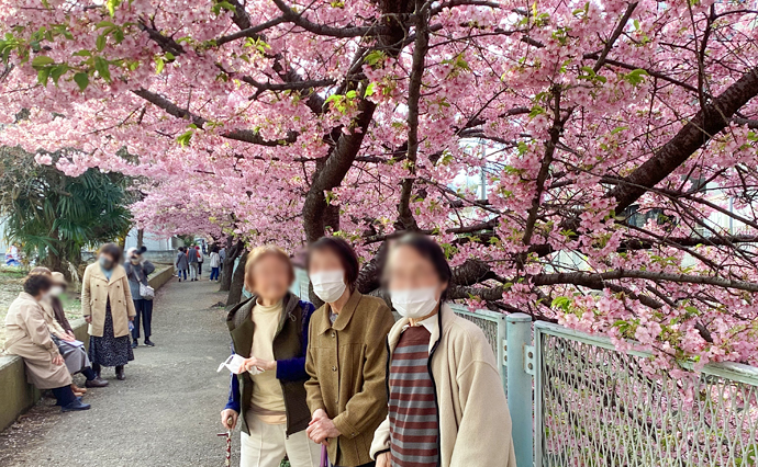 250404hlc_TamaYado_Sakura_3.jpg