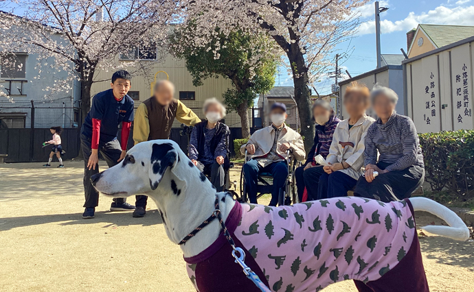 250405hlc_ikunoYado_Hanami_0237.jpg