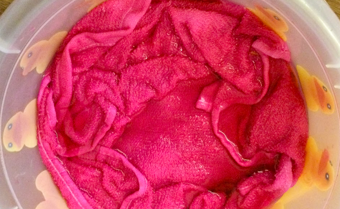 250405hlc_ohasuDS_PinkDye_3.png