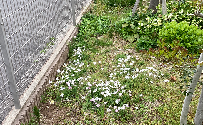 250408hlc_JotoGH_garden_0679.jpg