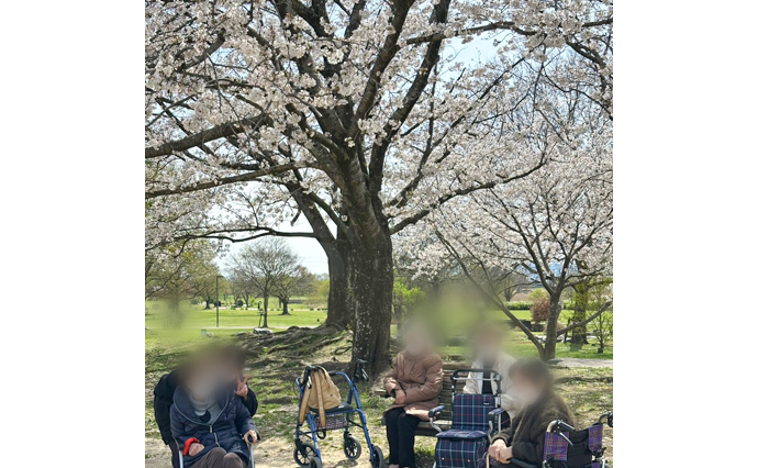 250410hlc_AkitsuDS_Hanami_2.jpg