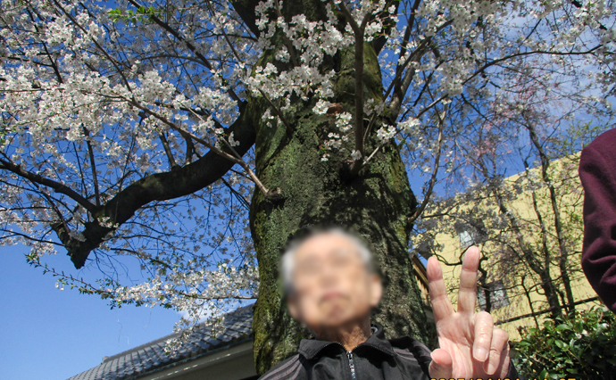 250410hlc_NakamurabashiGH_Hanami__2959.jpg