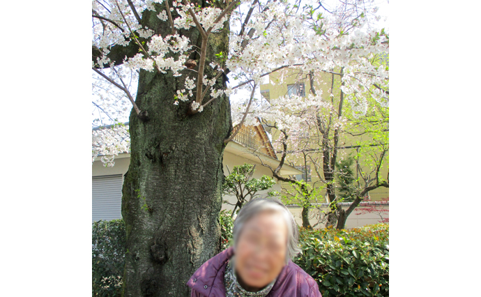 250410hlc_NakamurabashiGH_Hanami__2961.jpg