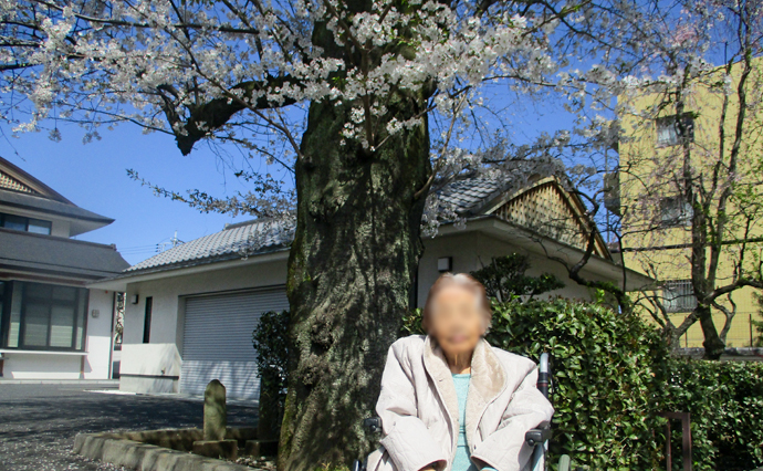 250410hlc_NakamurabashiGH_Hanami__4459.jpg