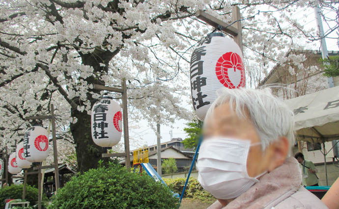 250410hlc_irumaGH_Hanami_7615.jpg