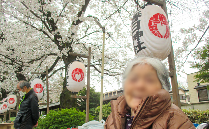 250410hlc_irumaGH_Hanami_7628.jpg