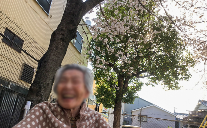 250415hlc_ikunoGH_Hanami_2.jpg