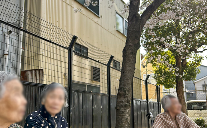 250415hlc_ikunoGH_Hanami_7.jpg