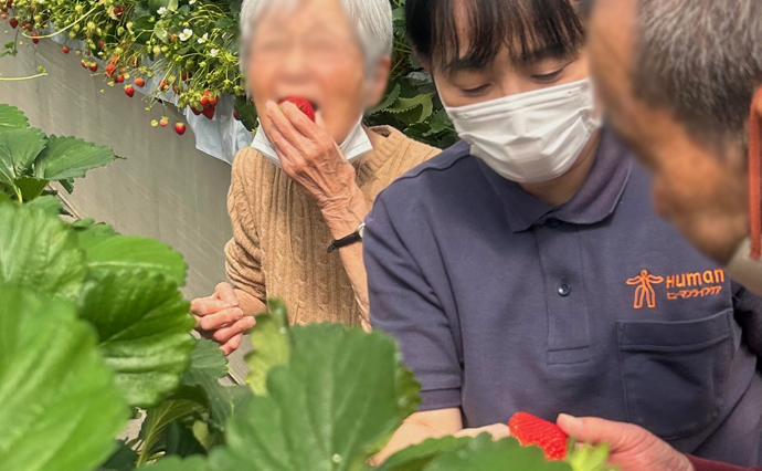 250415hlc_ozenjiYado_Strawberry_1.jpg
