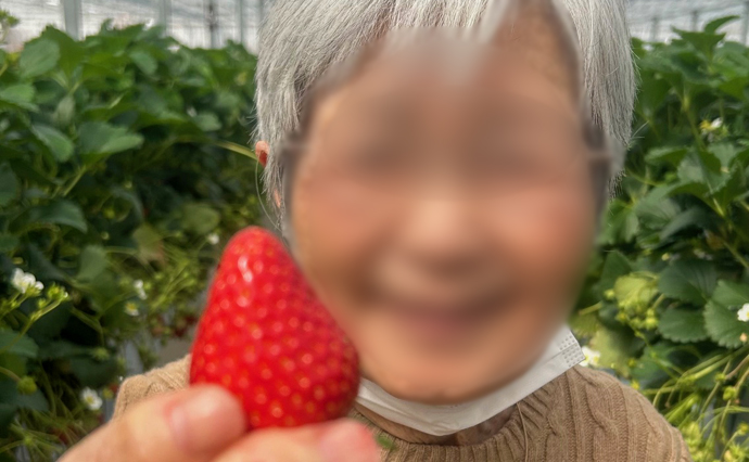 250415hlc_ozenjiYado_Strawberry_6.jpg