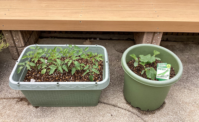 250416hlc_JotoGH_Planter01.jpg