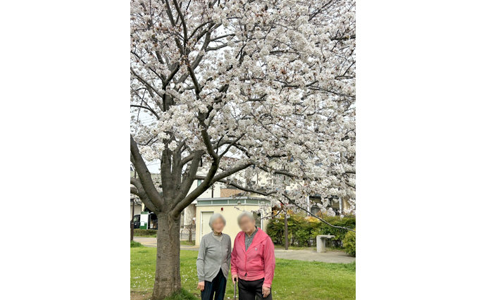250418hlc_TachikawaYado_Hanami_1.jpg