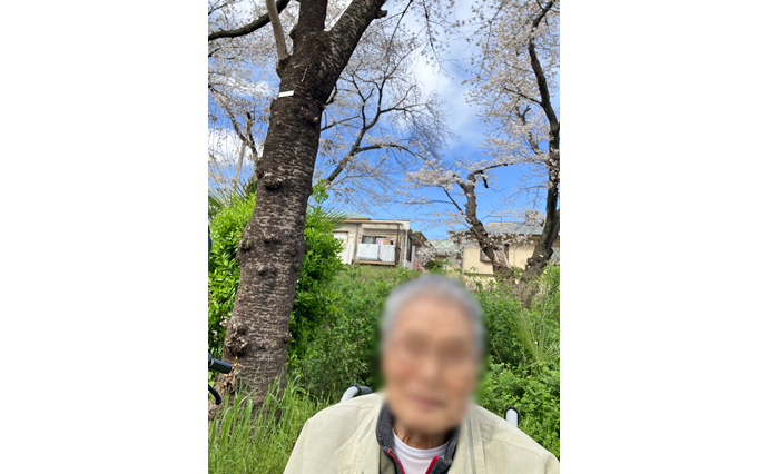 250418hlc_TachikawaYado_Hanami_3.jpg