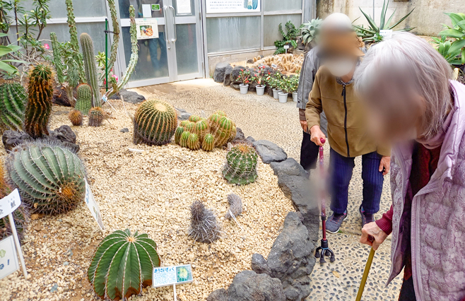 250422hlc_AkitsuDS_botanical garden.jpg