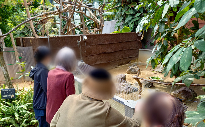 250422hlc_AkitsuDS_botanical garden2.jpg