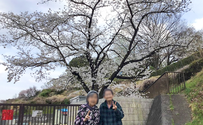 250423hlc_SugesengokuGH_Hanami_2.jpg