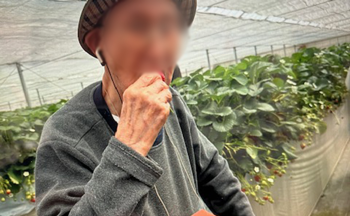 250423hlcozenjiYado_Strawberry_0056.jpg
