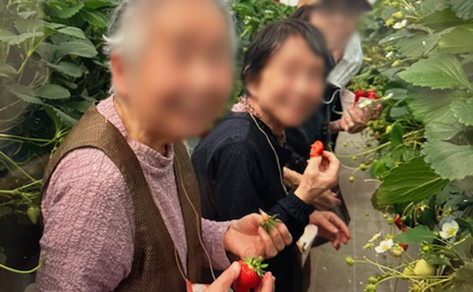 250423hlcozenjiYado_Strawberry_0065.jpg