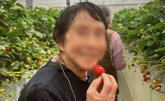 250423hlcozenjiYado_Strawberry_0251.jpg