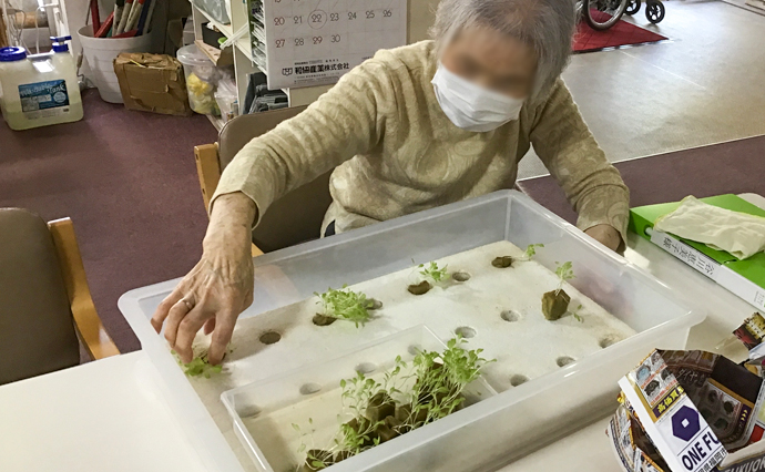 250426hlc_NagazumiDS_hydroponics_1001.jpg