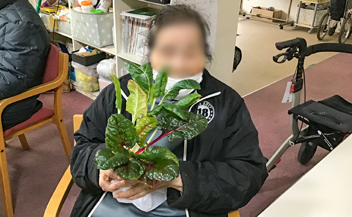 250426hlc_NagazumiDS_hydroponics_1164.jpg