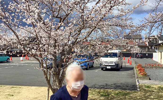 250428hlc_FushimiYado_Hanami_0.jpg