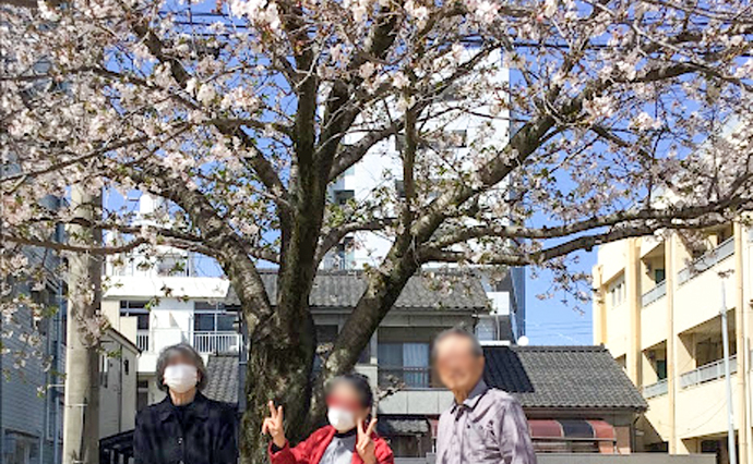 250430hlc_TamanoyuDS_Hanami-8.jpg