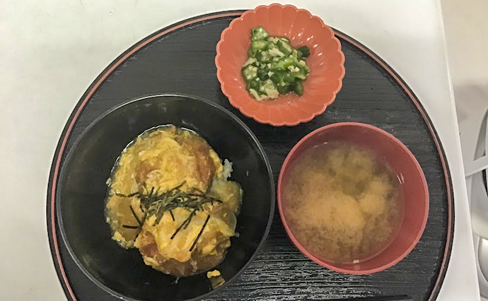 250430hlc_TamanoyuDS_Katsudon-5.jpg