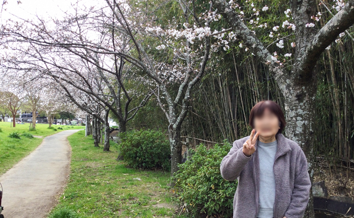 250506hlc_KakogawaDs_Hanami_01.jpg