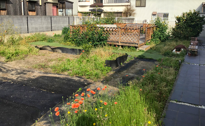 250510hlc_izumiotsuDS_Garden_3069.jpg