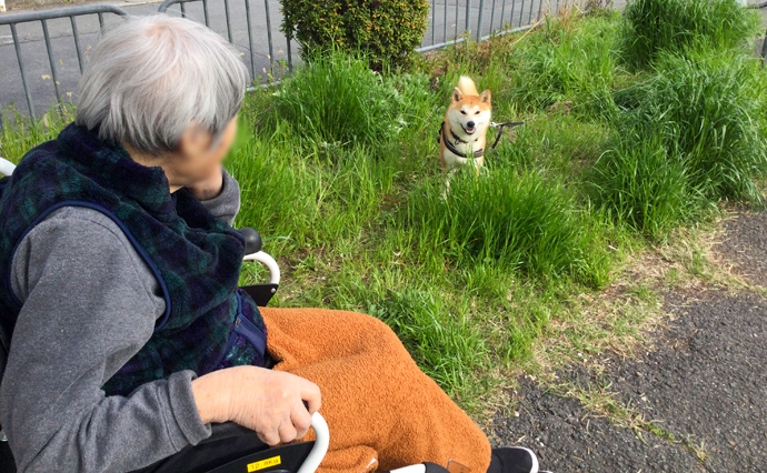 250515hlc_FukakusaGH_HanamiDog.jpg
