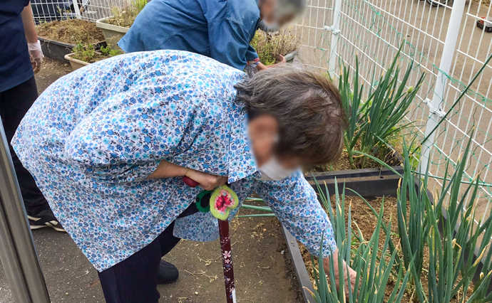 250520hlc_MusashiDS_ homegarden_1.png
