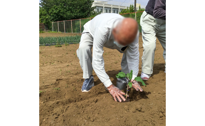 250520hlc_MusashiDS_ homegarden_H.jpg