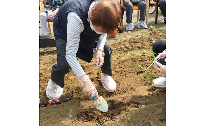 250520hlc_MusashiDS_ homegarden_S.jpg