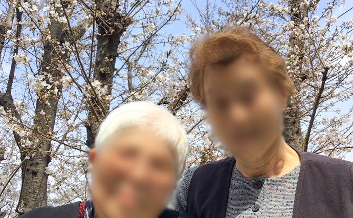 250528hlc_AjisaiDS_Hanami_1.jpg