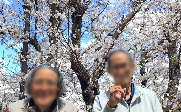 250528hlc_AjisaiDS_Hanami_3.jpg