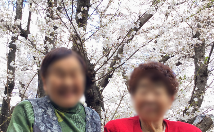 250528hlc_AjisaiDS_Hanami_4.jpg