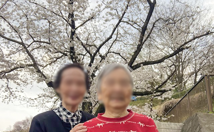 250530hlc_SugesengokuGH_Sakura03.jpg