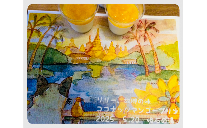 250609hlc_AkashiDS_Puding.jpg