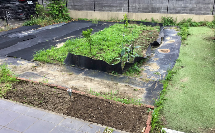 250609hlc_izumiotsuDS_Farm_3295.jpg