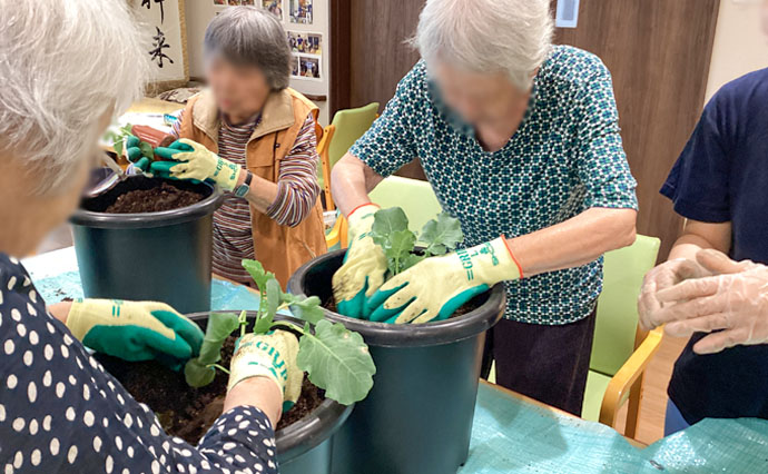 250921HLC_TachikawaYado_vegetable garden_4.jpg