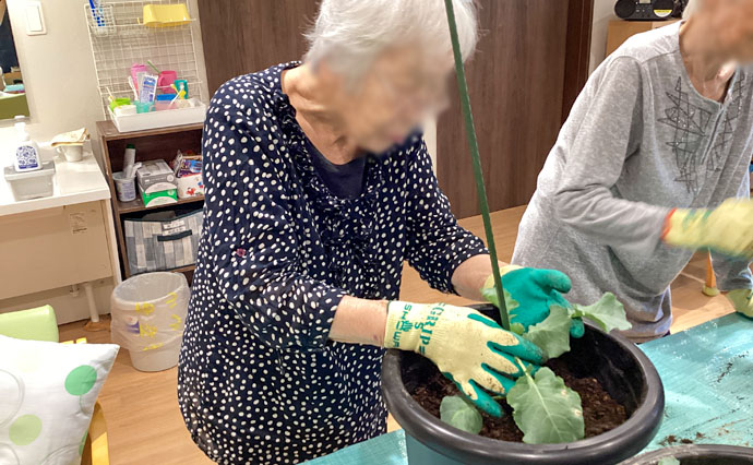 250921HLC_TachikawaYado_vegetable garden_5.jpg