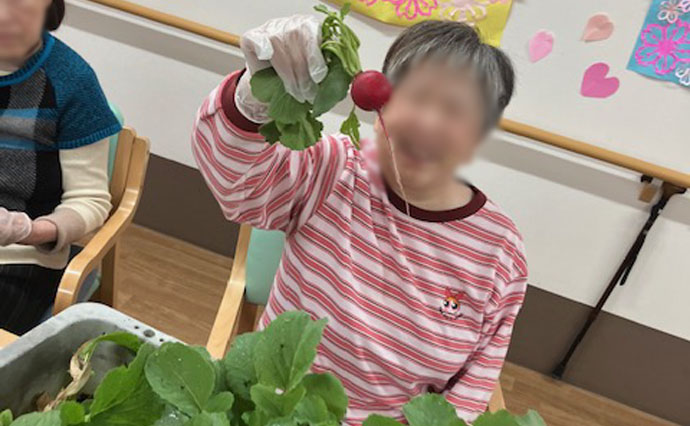 260402HLC_Ozenji_grow vegetables_3689.jpg