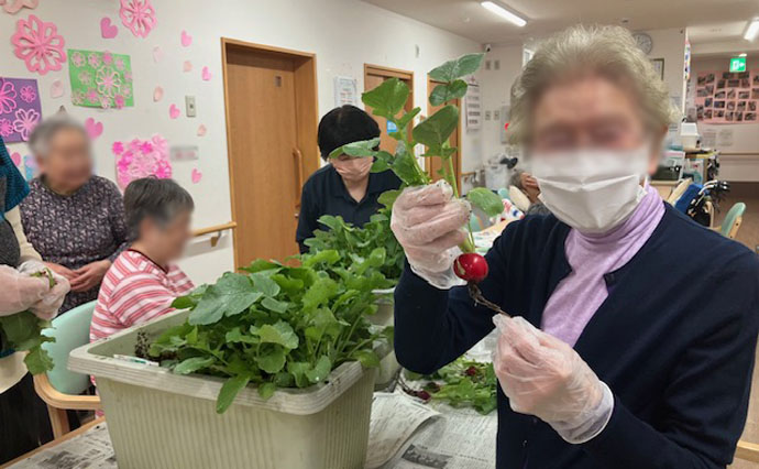 260402HLC_Ozenji_grow vegetables_3705.jpg